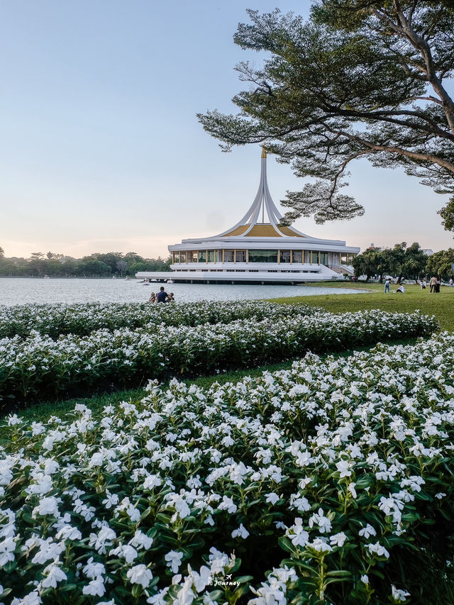 พาไปปั่นเรือเป็ด ชมพระอาทิตย์ตกที่สวนหลวง ร9 🌳