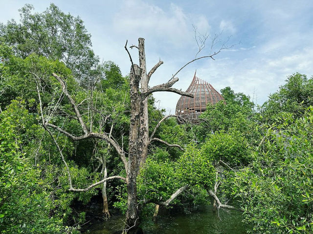 Exploring the Natural Beauty of Sungei Buloh Wetland Reserve
