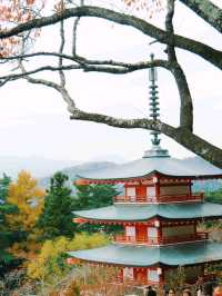 ไปชม เจดีย์แดงชูเรโตะ Chureito Pagoda กันจ้า