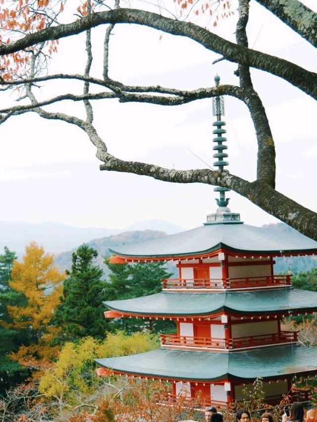 ไปชม เจดีย์แดงชูเรโตะ Chureito Pagoda กันจ้า