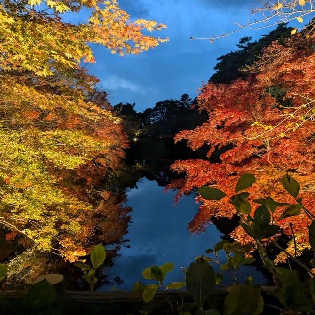 弘前城渡船賞夜楓，燈火楓紅醉是浪漫