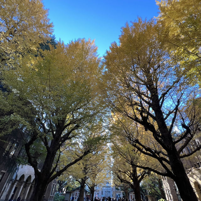 Only Locals know about this place for Autumn Leaves!