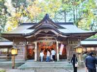 高千穗神社 在百年大樹下祈福的能量景點