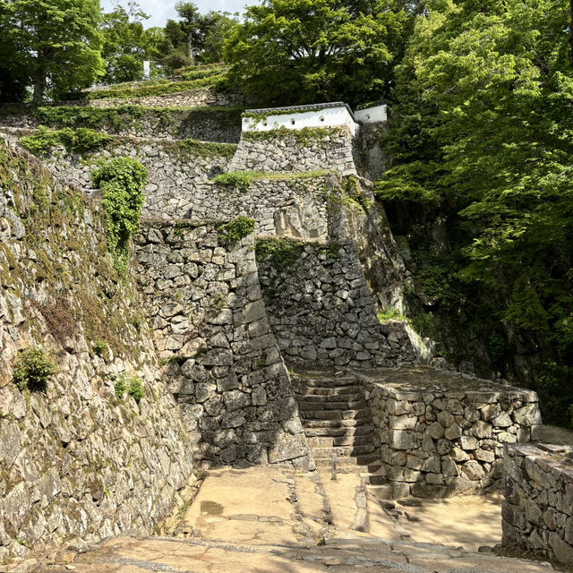 瀨戶內海單車旅行