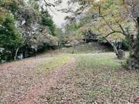 Discover the Majestic Iwadonosan Summit