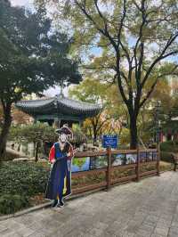 여유로움이 느껴지는 대구 히든 플레이스 경상감영공원🌿