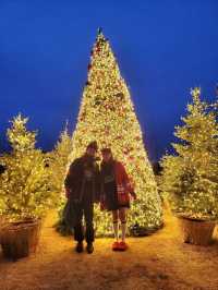 크리스마스에 진심인 경주호텔🎄