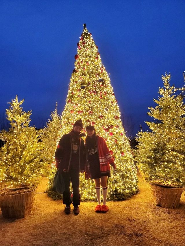 크리스마스에 진심인 경주호텔🎄