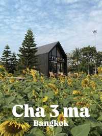 ร้านชาจุดเช็คอินใหม่ริมเลียบด่วน! CHA3MA🌻