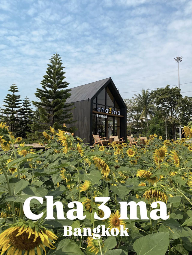 ร้านชาจุดเช็คอินใหม่ริมเลียบด่วน! CHA3MA🌻