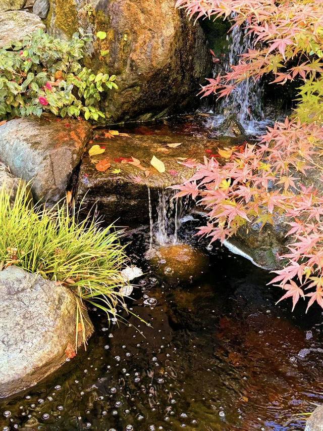 〜東京都〜2025年初詣はココ！ヘビ年に行くべき神社⛩️