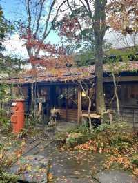 【大分温泉】山に溶け込むように佇むお宿
