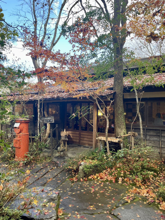 【大分温泉】山に溶け込むように佇むお宿