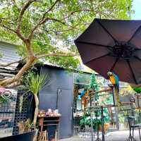 คาเฟ่นกแก้ว 🦆Kamala Cafe จันทบุรี