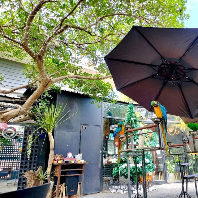 คาเฟ่นกแก้ว 🦆Kamala Cafe จันทบุรี