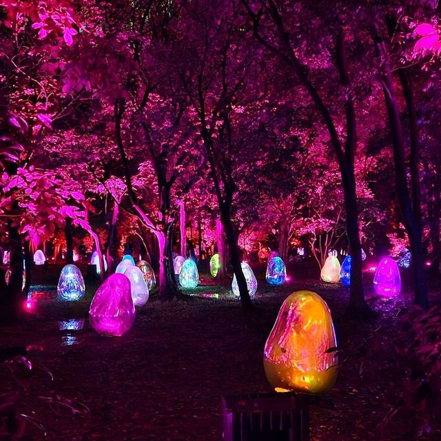 大阪景點|走進夜間奇幻世界—大阪長居植物園teamLab