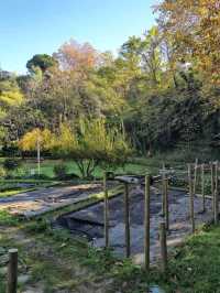해외여행 스페인 바르셀로나 Jardi Botanic Historic