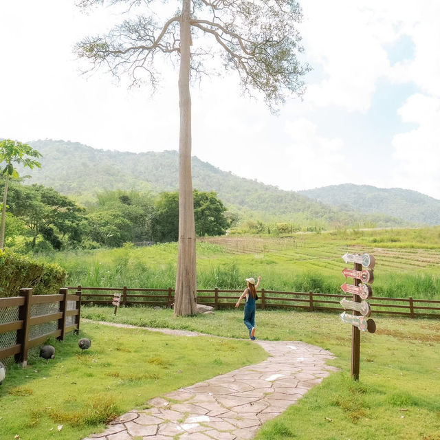 สวนสัตว์สุดคิ้วท์ในสวนผึ้ง 🦙🌲
