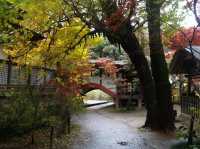 千葉🇯🇵本土寺