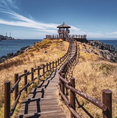 韓国】チェジュ島🇰🇷美しき海の島 | Trip.com 済州島