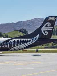 【ニュージーランド】快適な空の旅🇳🇿コルの翼と共に✈️