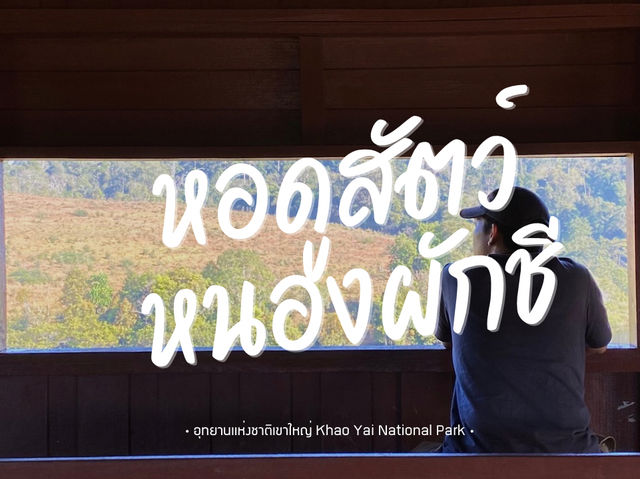 ดูสัตว์ป่าที่หอดูสัตว์หนองผักชี