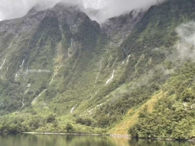 A Journey to Doubtful Sound: A Slice of Heaven