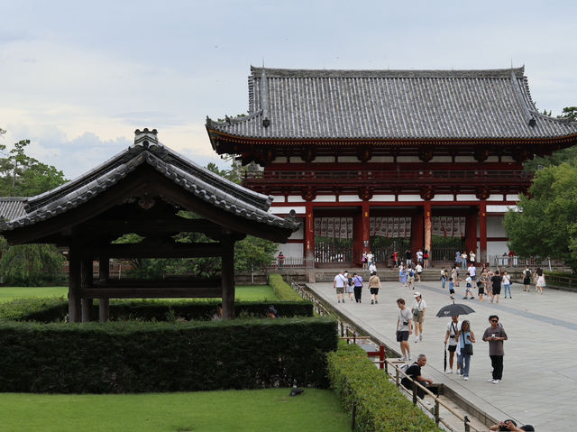  Discover Awe-Inspiring History at Todai-ji Temple