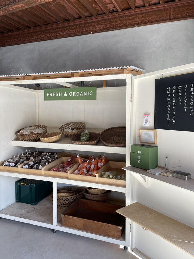 【栃木 那須  冬旅】  カフェ好きもうなる 「SHOZO CAFE」