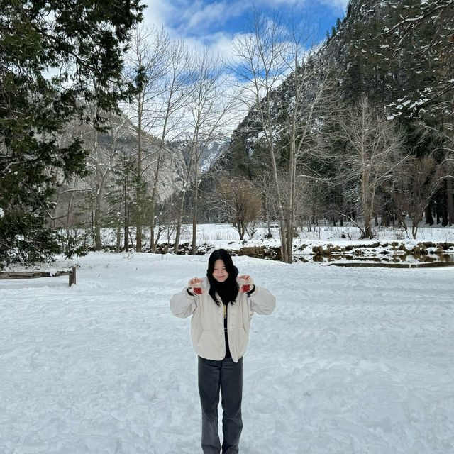 진정한 대자연의 맛 요세미티 투어 