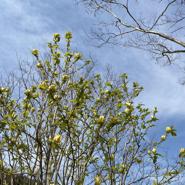 힐링이 필요할 땐 통영 ‘산유골 수목공원’ 🌳✨