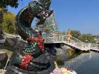 วัดป่าพุทธชินวงศาราม (ม่อนพญานาค) พะเยา