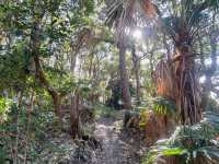 Booti Booti Hill Hiking Trail