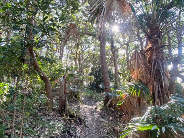 Booti Booti Hill Hiking Trail