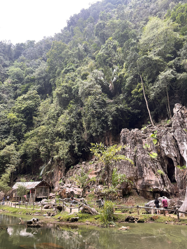 Nature, Nostalgia, & Good Times: A Day Out at Qing Xin Ling Leisure Park 🚲🏞️