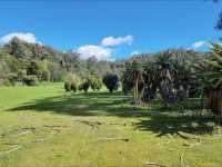 Tasmanian Arboretum