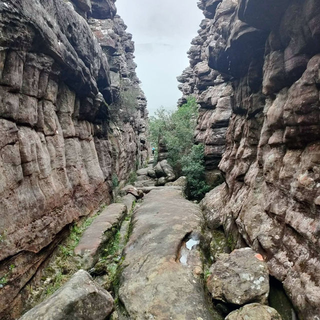 Adventure Awaits at The Grampians: A Hiker’s Paradise 🇦🇺