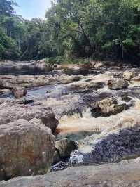 Exploring the Wild: My Adventure at Taman Negara National Park, Malaysia
