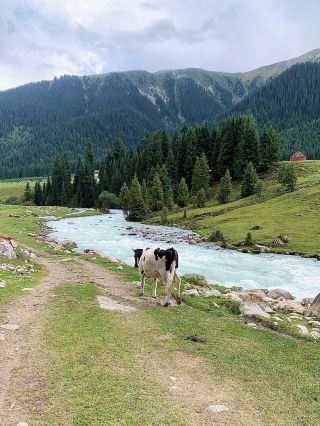 🇰🇬Waterfall + Green Hills Hike🥾🌳