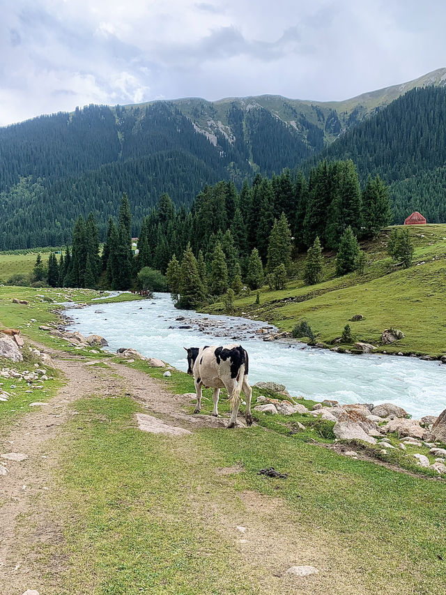 🇰🇬Waterfall + Green Hills Hike🥾🌳