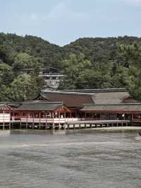 【広島】広島の絶景、厳島神社⛩️