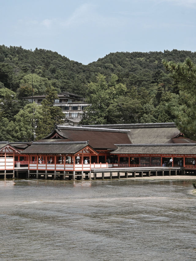 【広島】広島の絶景、厳島神社⛩️