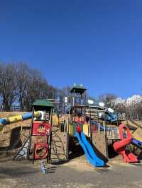 【小諸市🇯🇵】大型遊具で1日遊べる！とにかく広い大型公園🏞