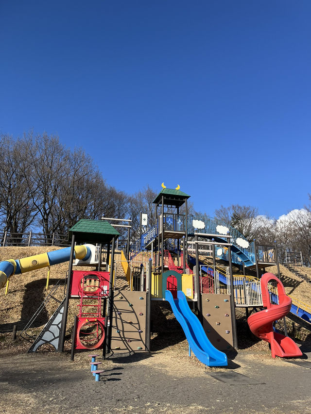 【小諸市🇯🇵】大型遊具で1日遊べる！とにかく広い大型公園🏞