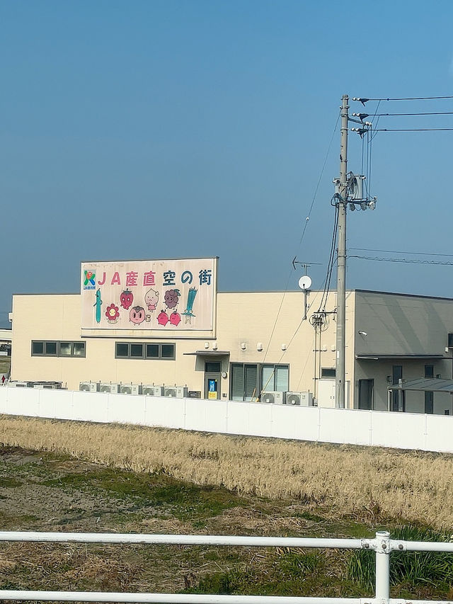 따뜻한 다카마쓰 3박4일 여행~🤠