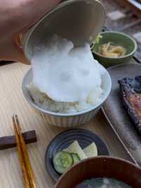 Grilled Fish and Passing Trains at Cafe Yoridokoro in Kamakura