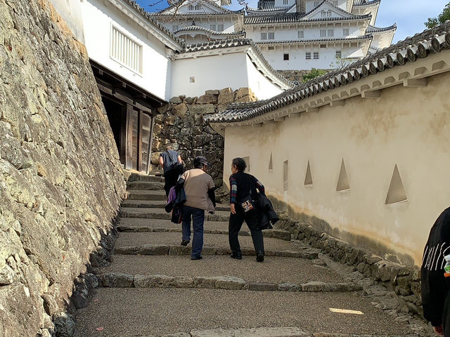 白鷺翩翩：探訪日本國寶姬路城的古韻之美