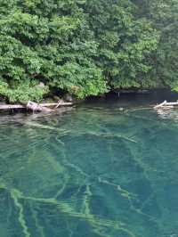 【青森県】十和田湖〜美しい湖でのプライスレスな体験〜
