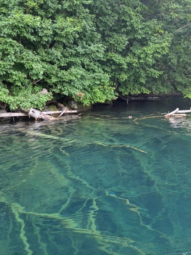 【青森県】十和田湖〜美しい湖でのプライスレスな体験〜