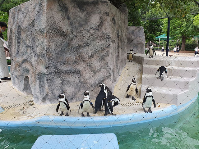 みんな大好き🤍【上野動物園】